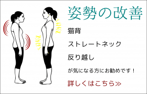 気になる姿勢の問題を根本的に治したいあなた 猫背、ストレートネック、歪み、反り越しなど、さまざまな姿勢のお悩みに答えたプログラムを試してください！